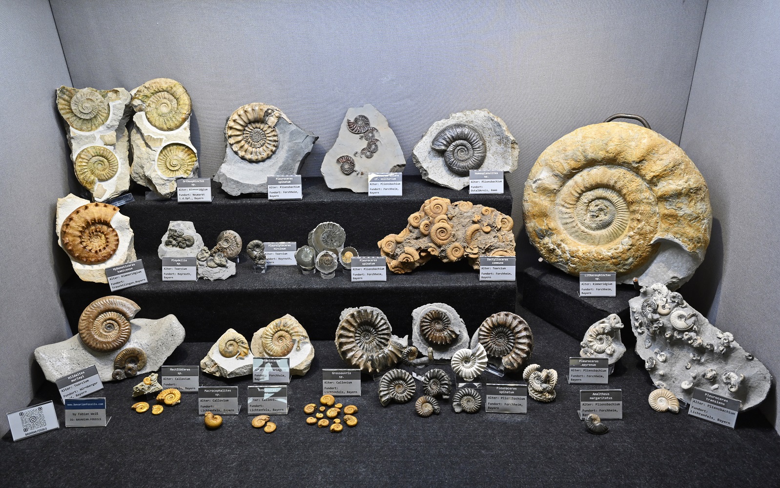 1. Platz: SV36 / Fabian Weiß